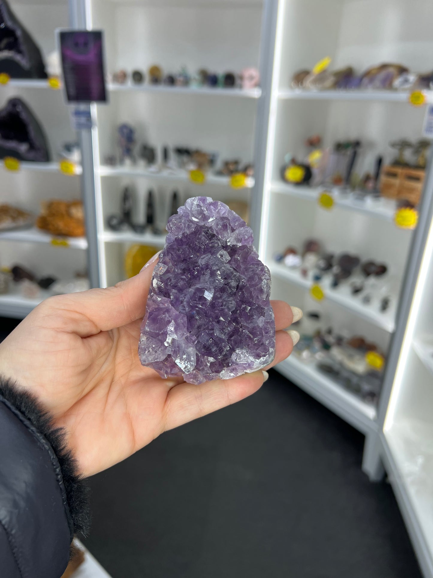 Amethyst Cluster Specimen