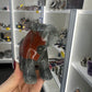 Bloodstone Bear