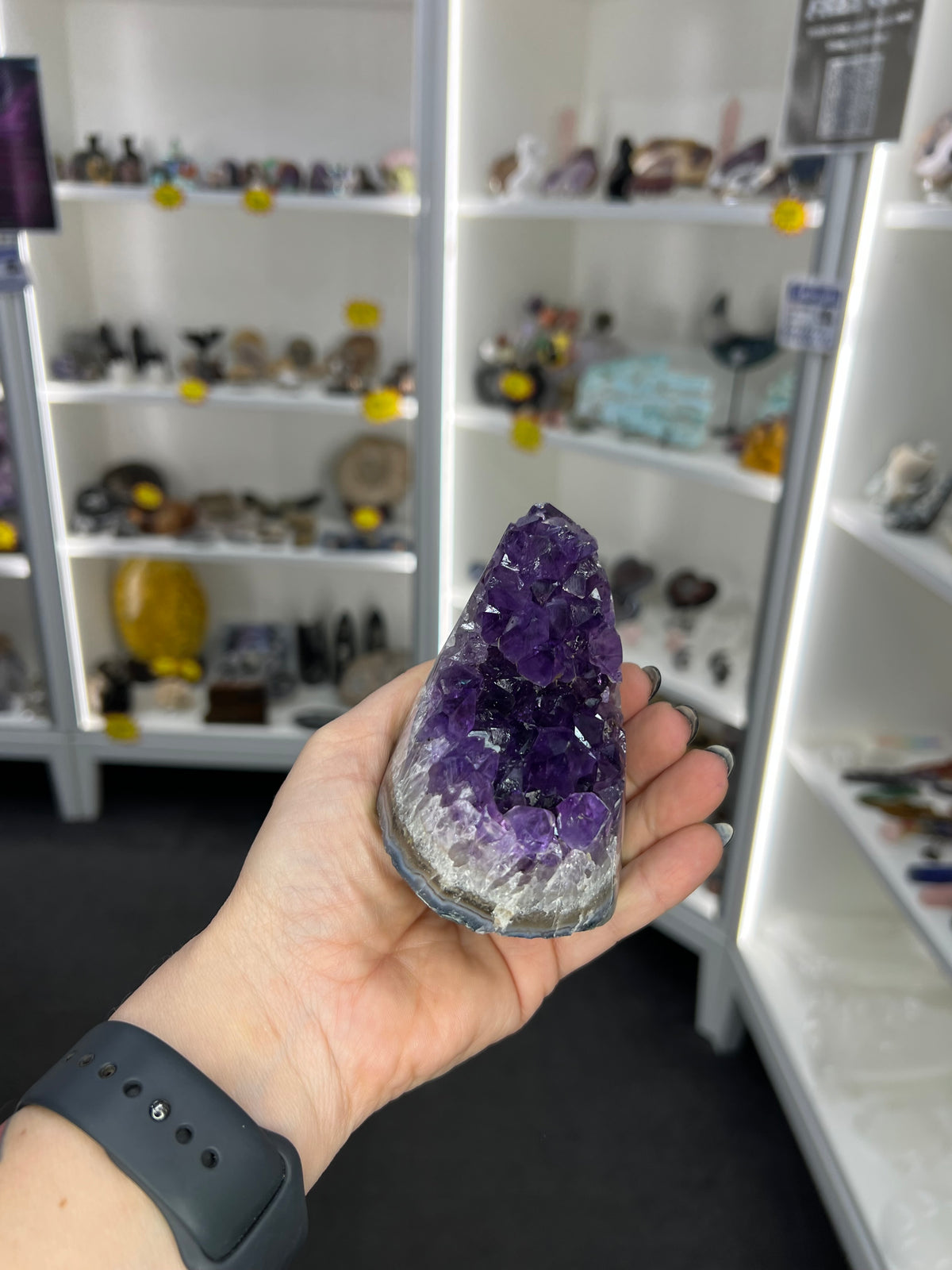 Amethyst Cluster Specimen