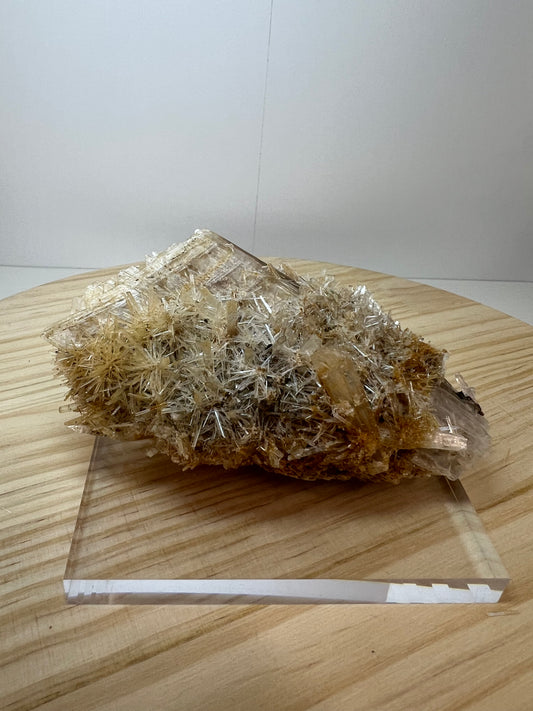 Gypsum / Selenite Specimen