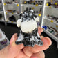 Zebra Jasper Cow