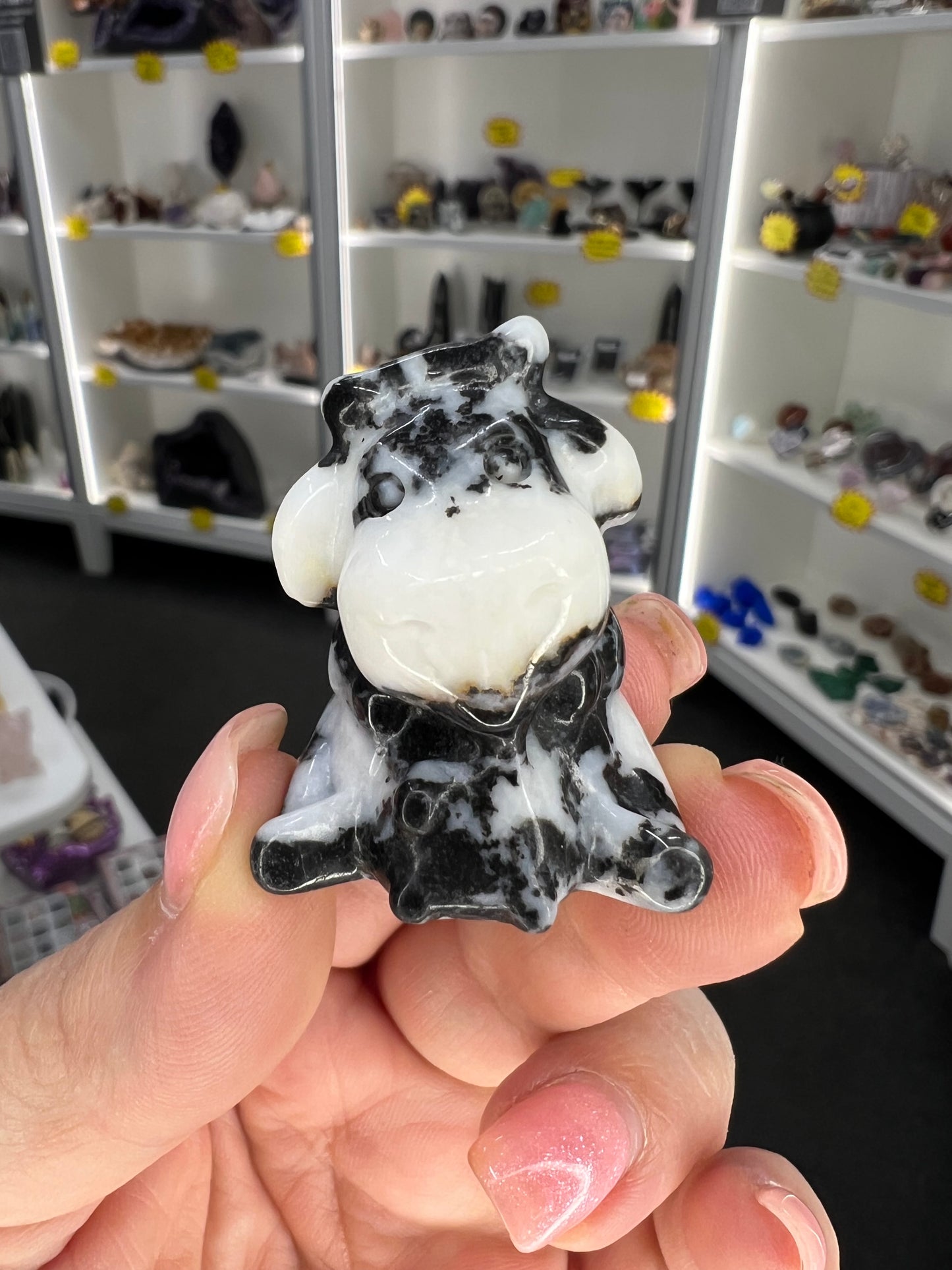 Zebra Jasper Cow
