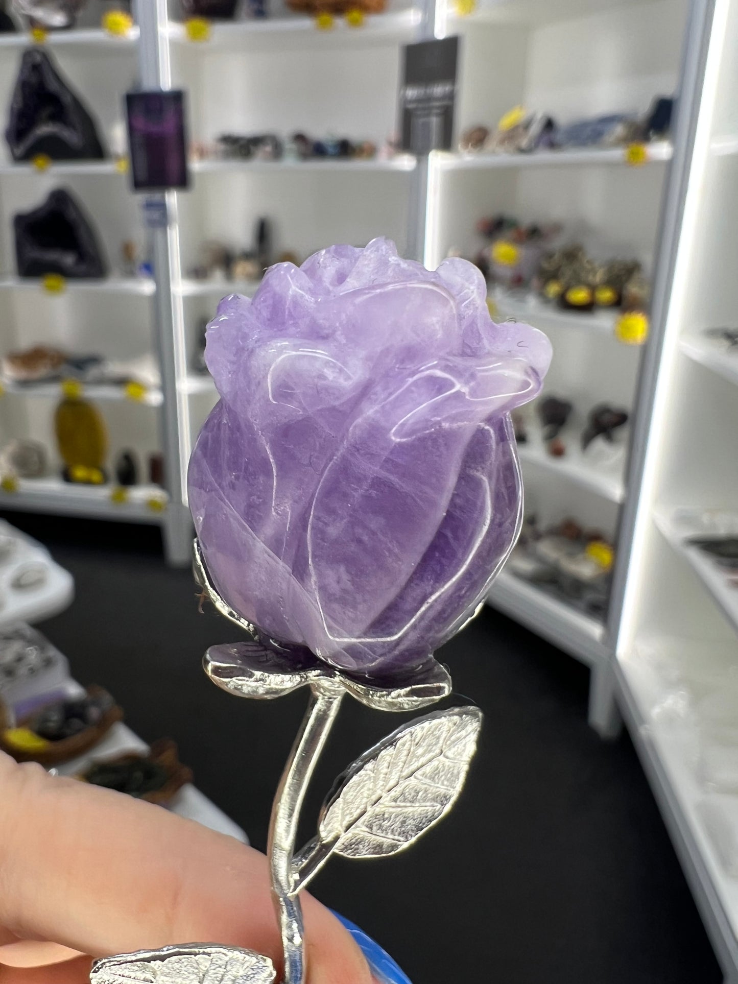 Chevron / Dream Amethyst Forever Rose