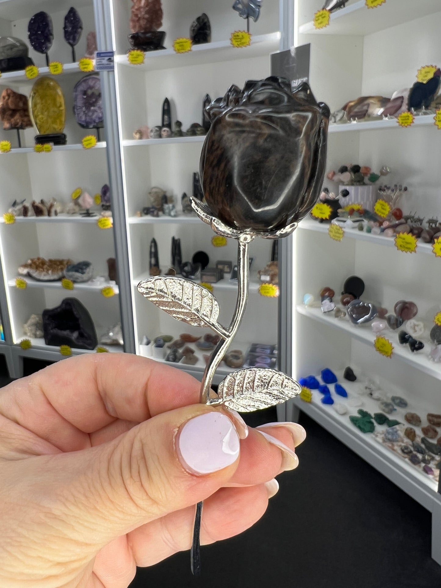 Astrophyllite Garnet Forever Rose