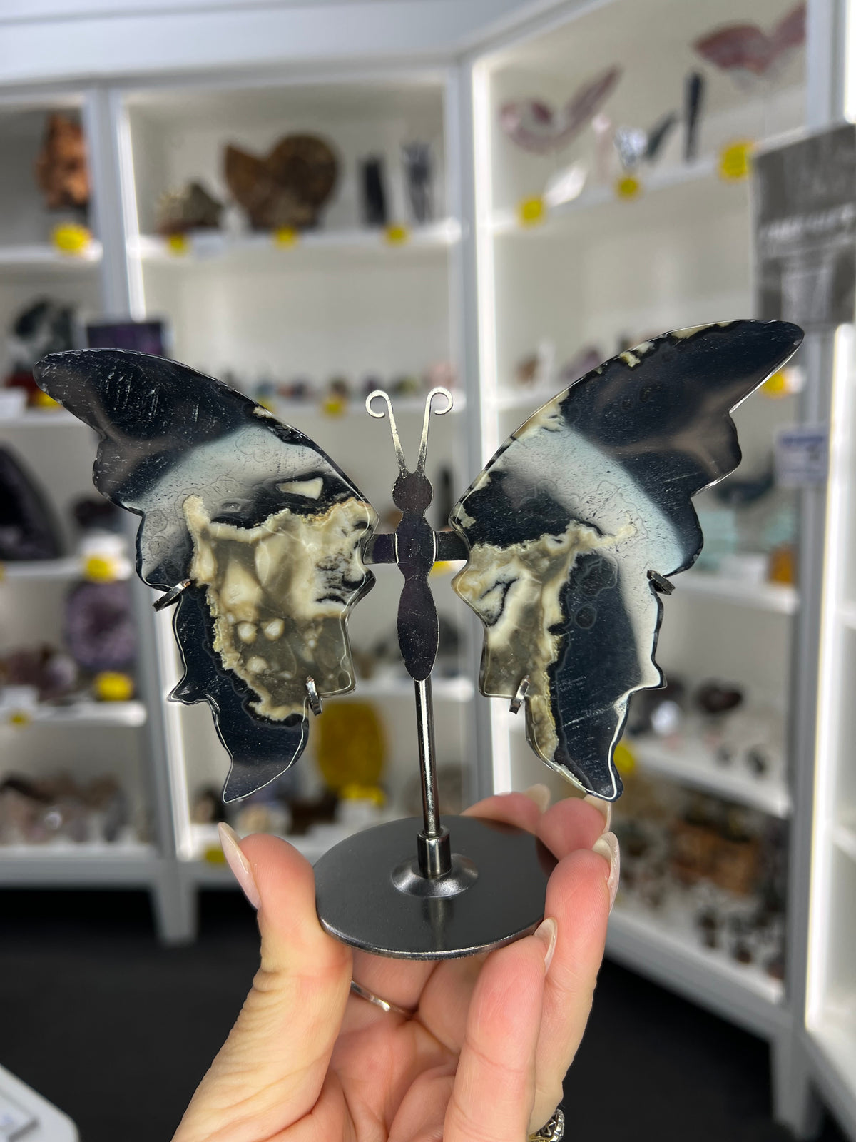 Volcano Agate Butterfly (UV Reactive)