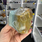 Caribbean Calcite Turtle