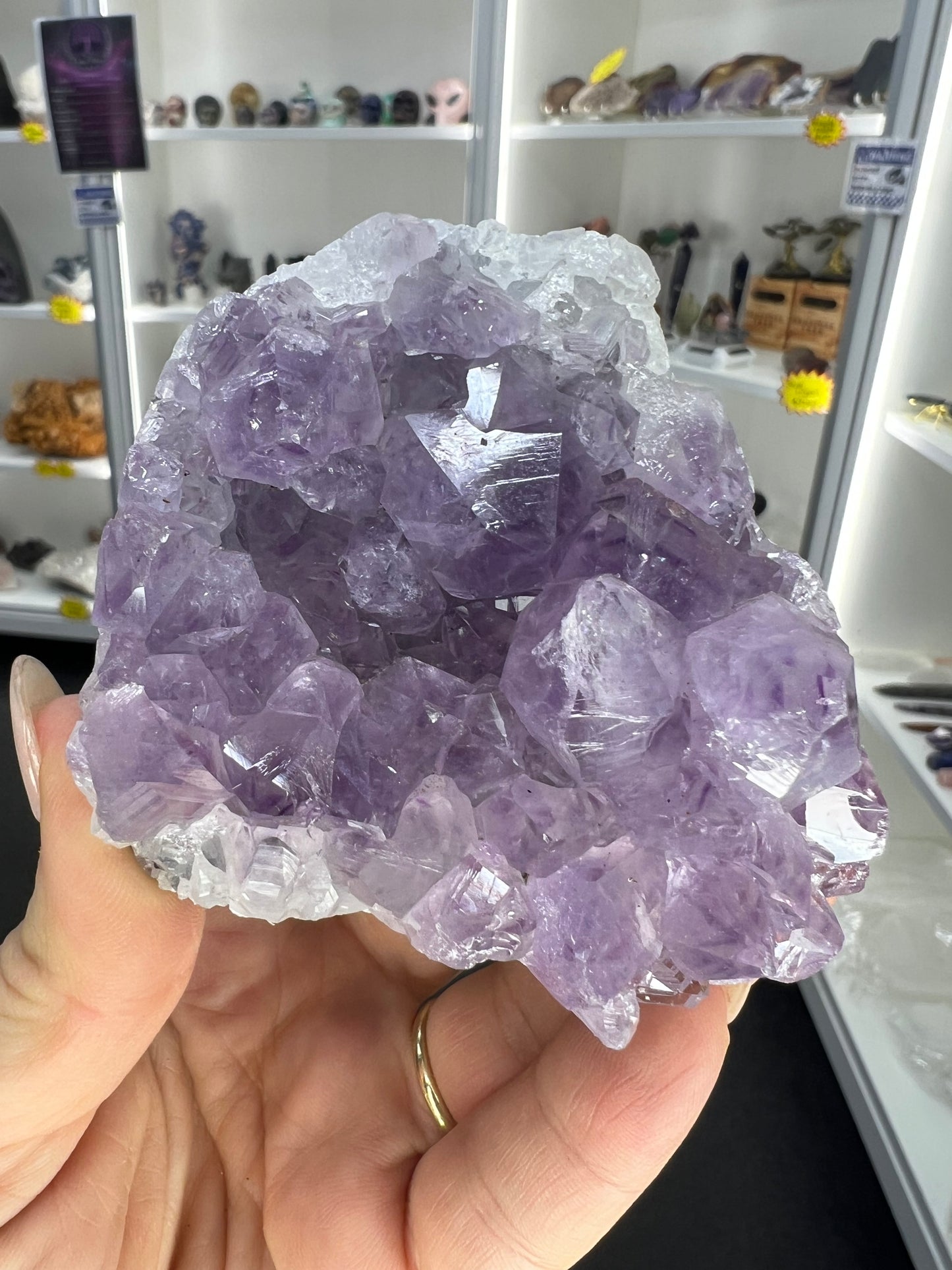 Amethyst Cluster Specimen