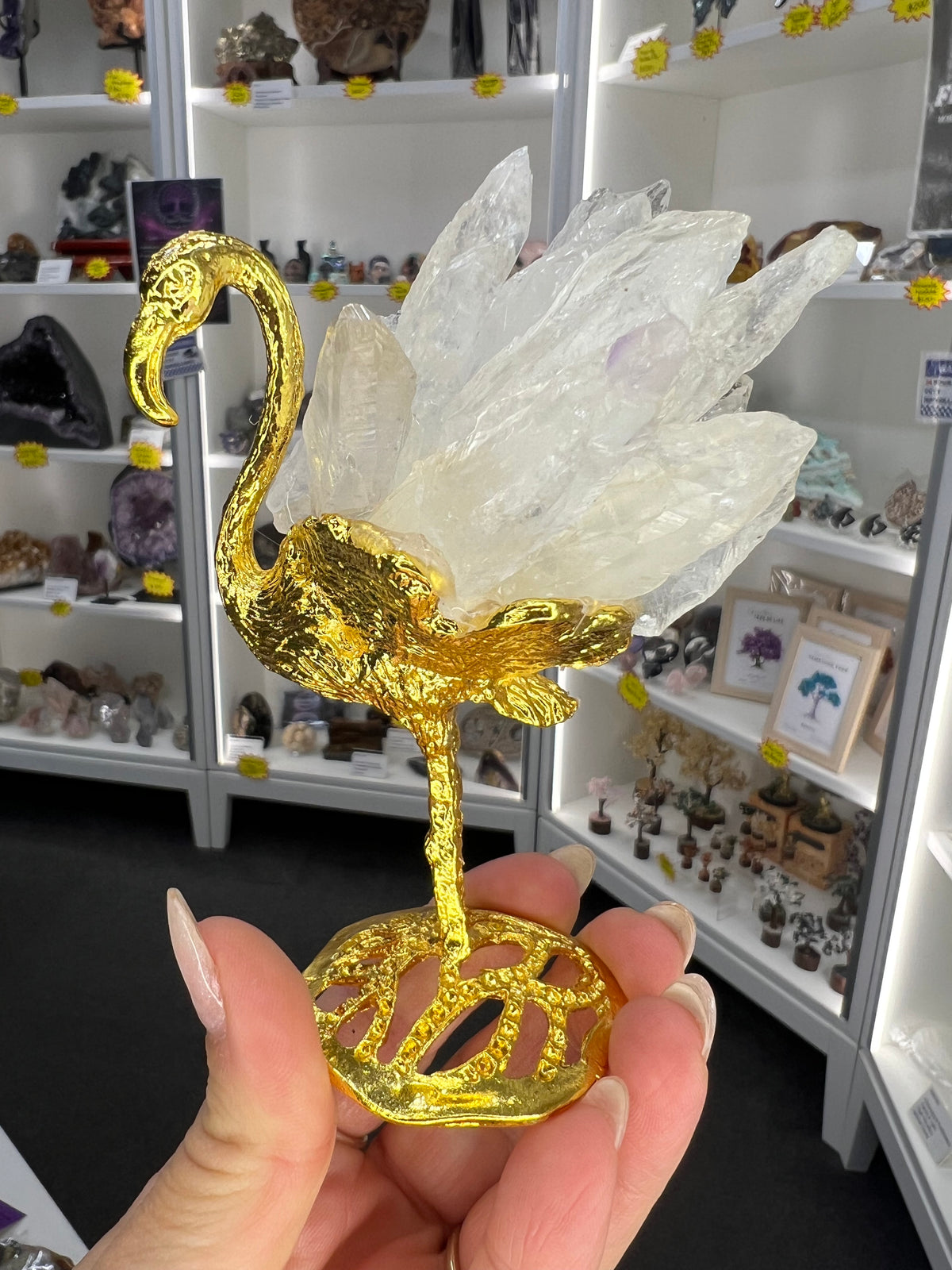 Clear Quartz Cluster on Gold Flamingo