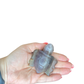 Fluorite Turtle