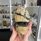 Picture Jasper Dinosaur Skull