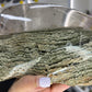 Thousand Layers Garden Quartz