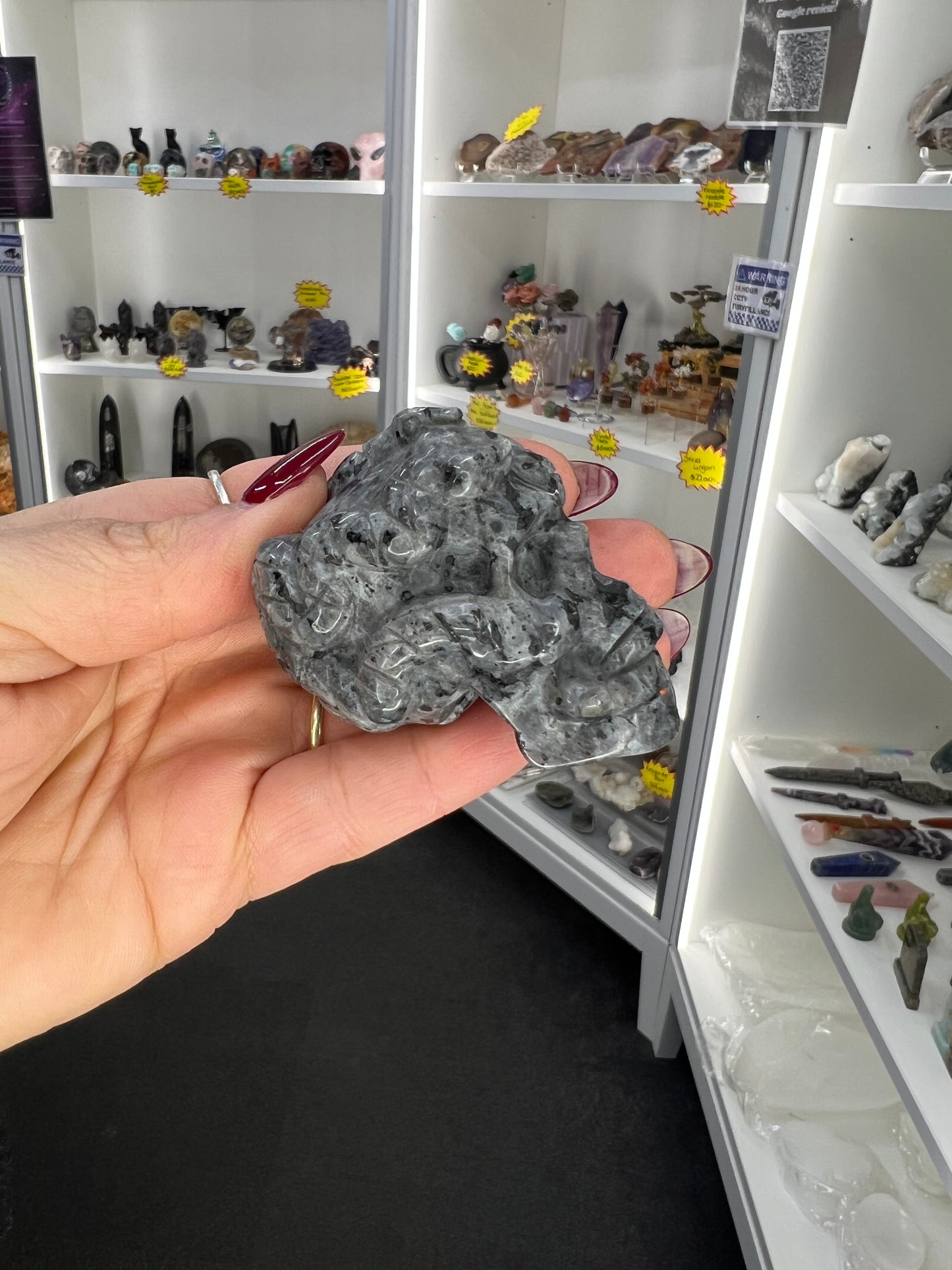 Larvikite Skull with Snake