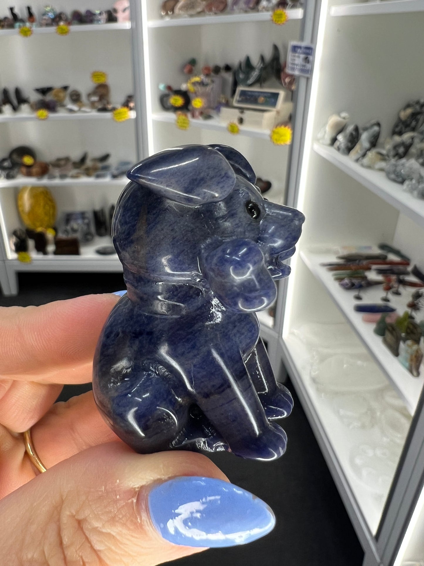Sodalite Dog with Bone