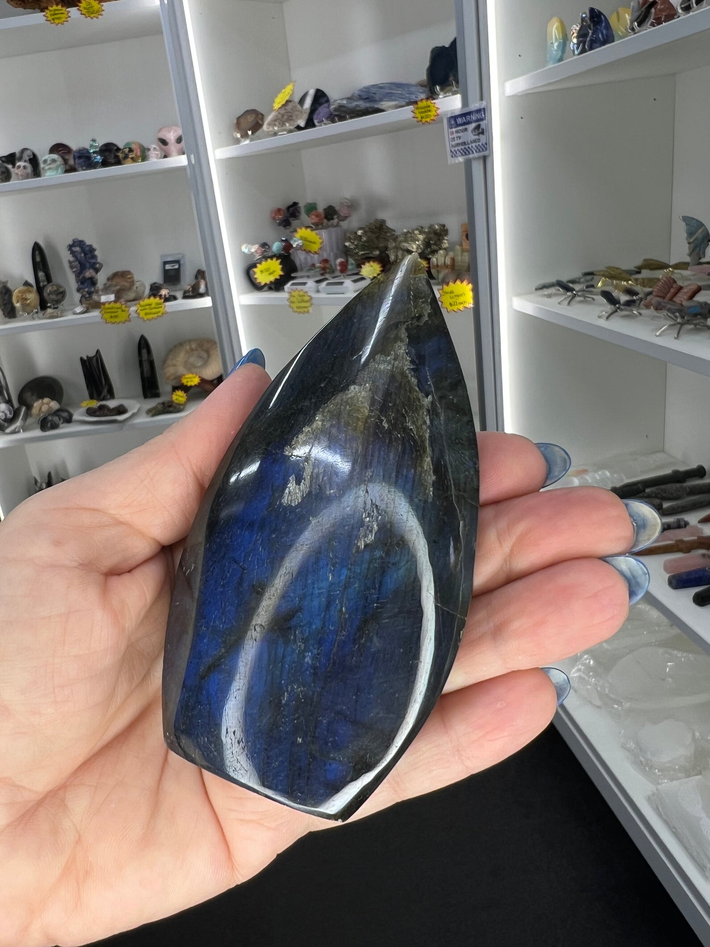 Labradorite Freeform