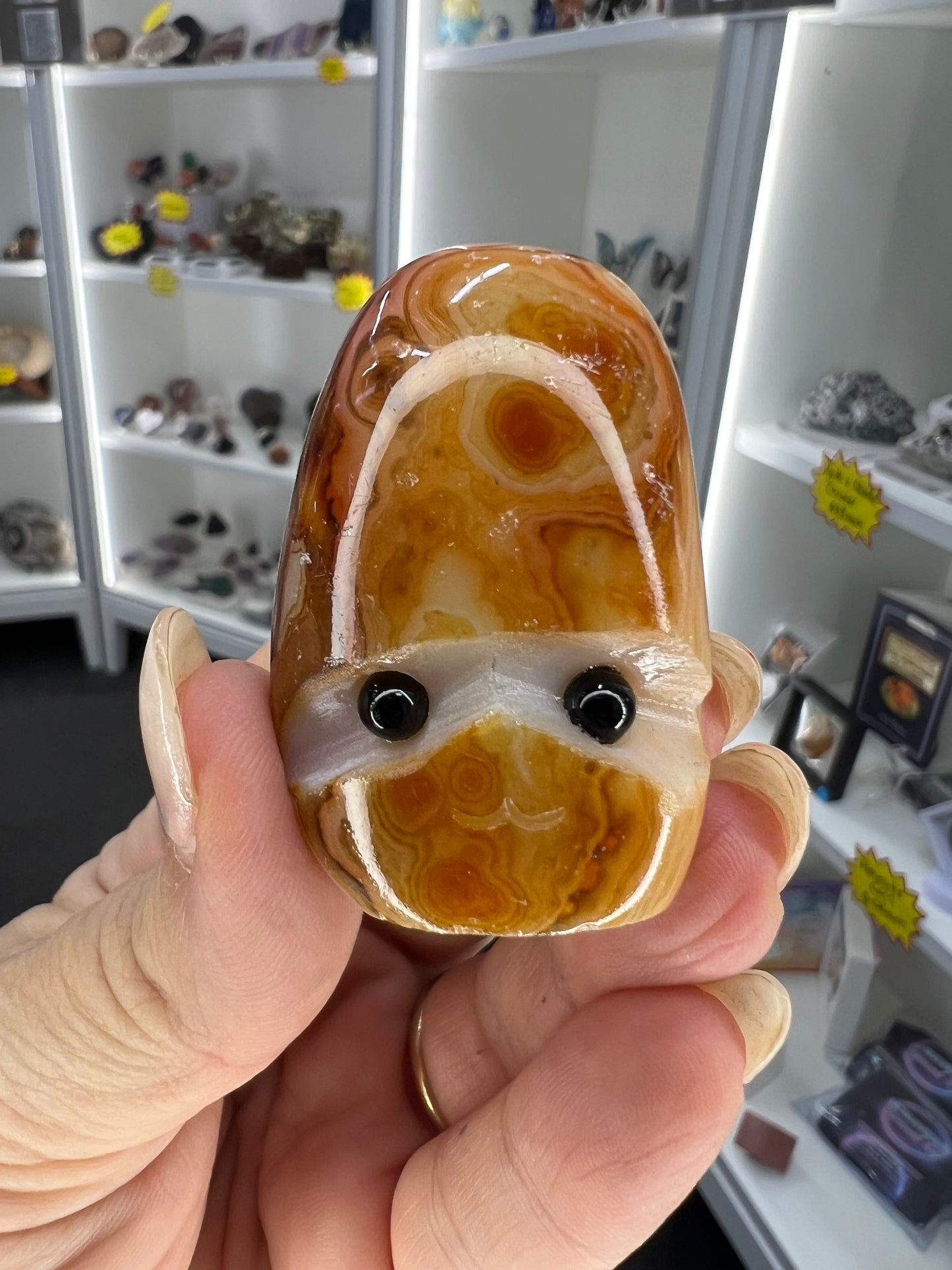 Sardonyx Little Guy