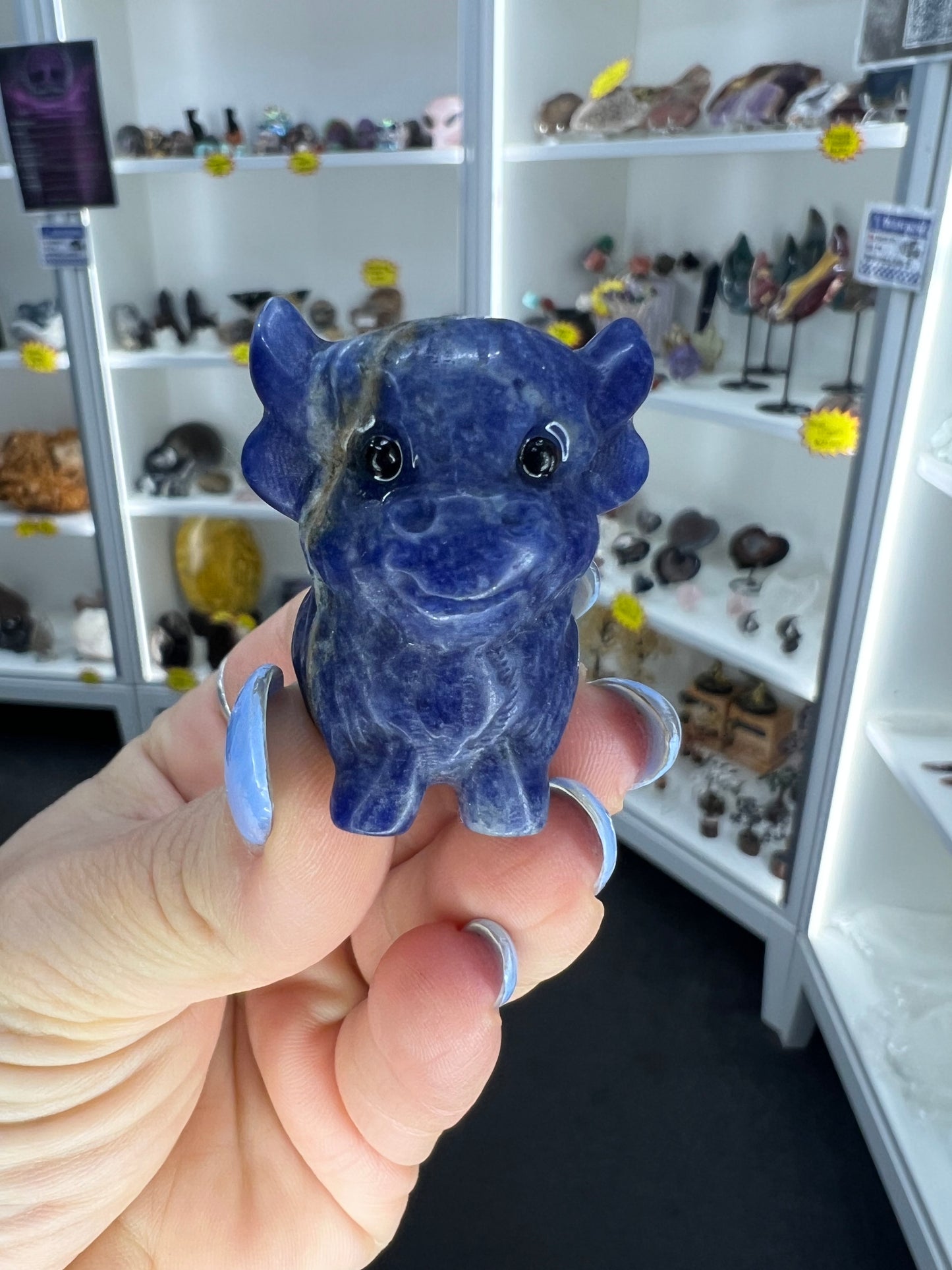 Sodalite Highland Cow