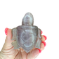 Fluorite Turtle