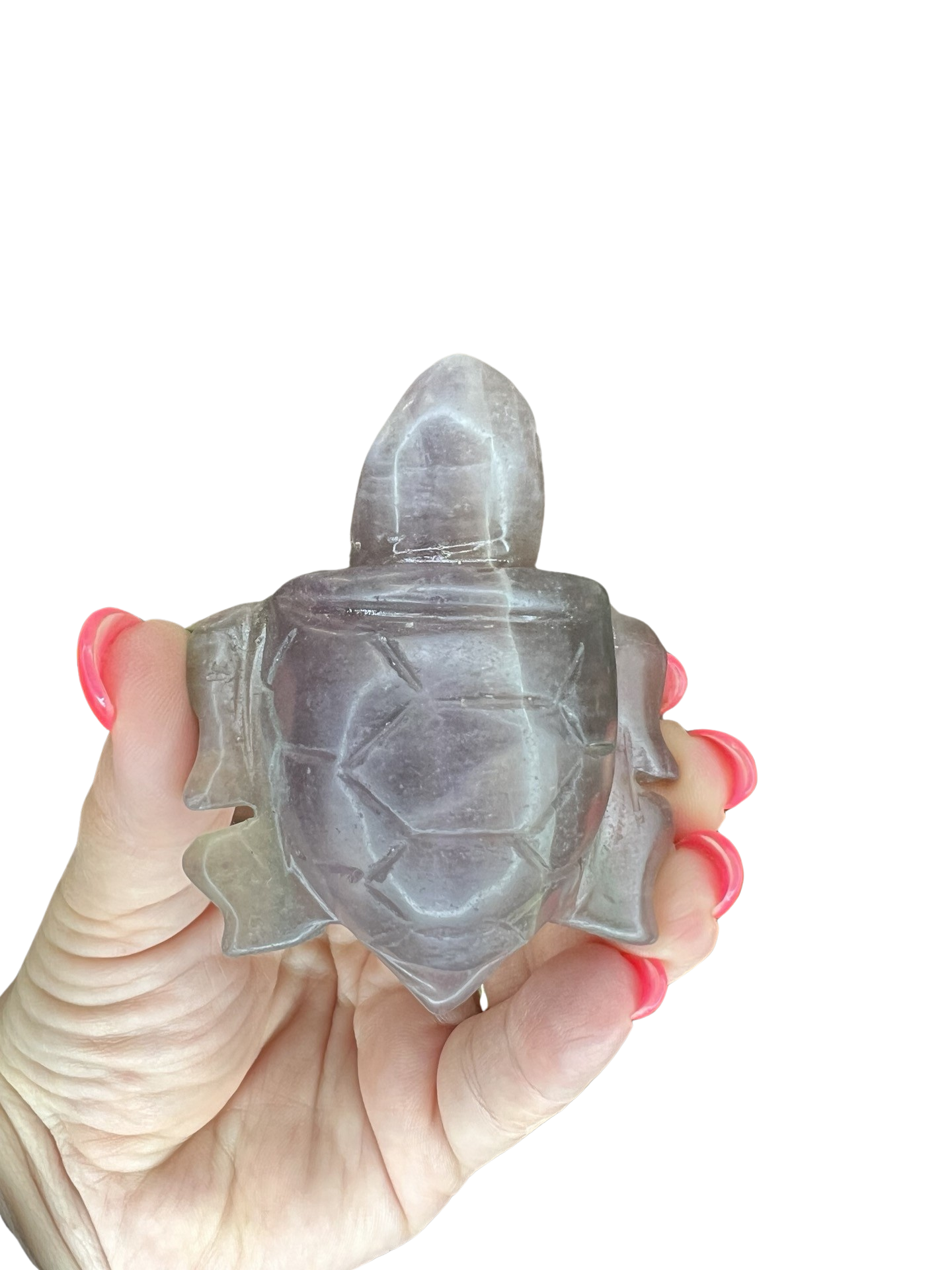 Fluorite Turtle