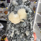 Apophyllite x Stilbite Specimen