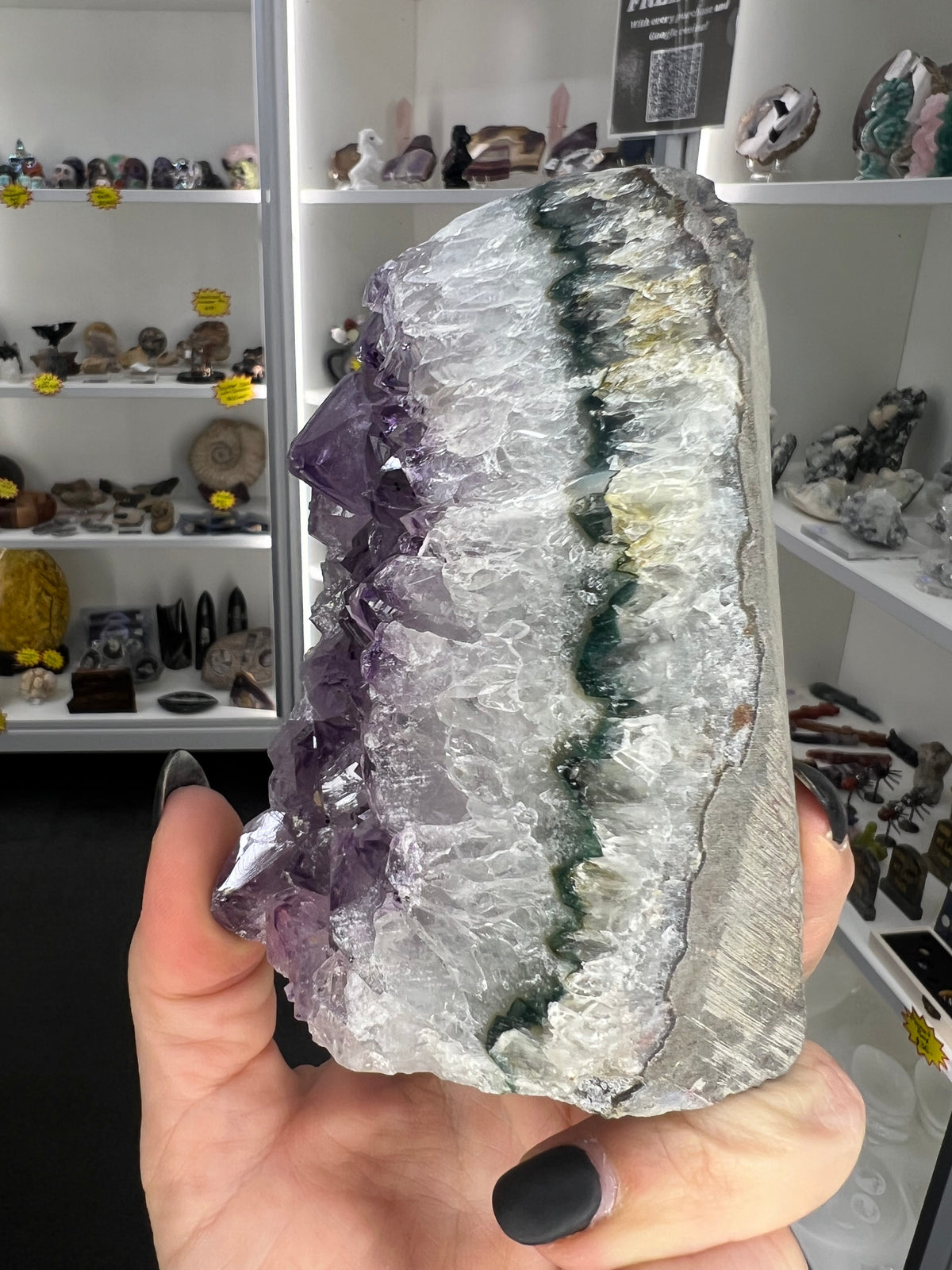 Amethyst Cluster Specimen