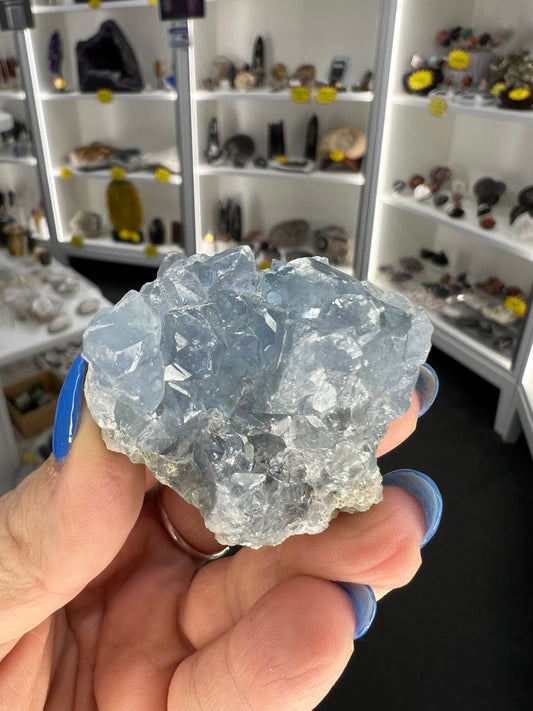 Celestite Cluster Specimen