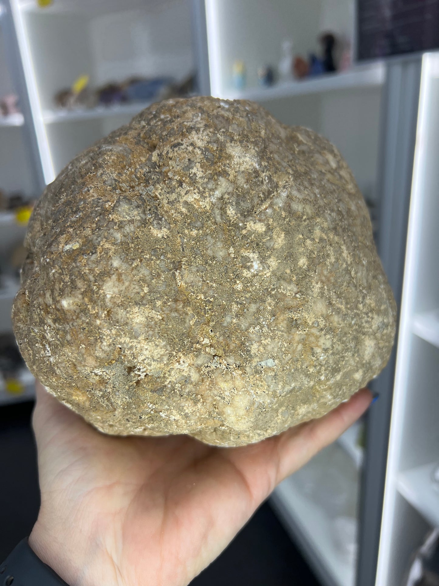 Quartz Geode Specimen