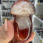 Carnelian Mushroom