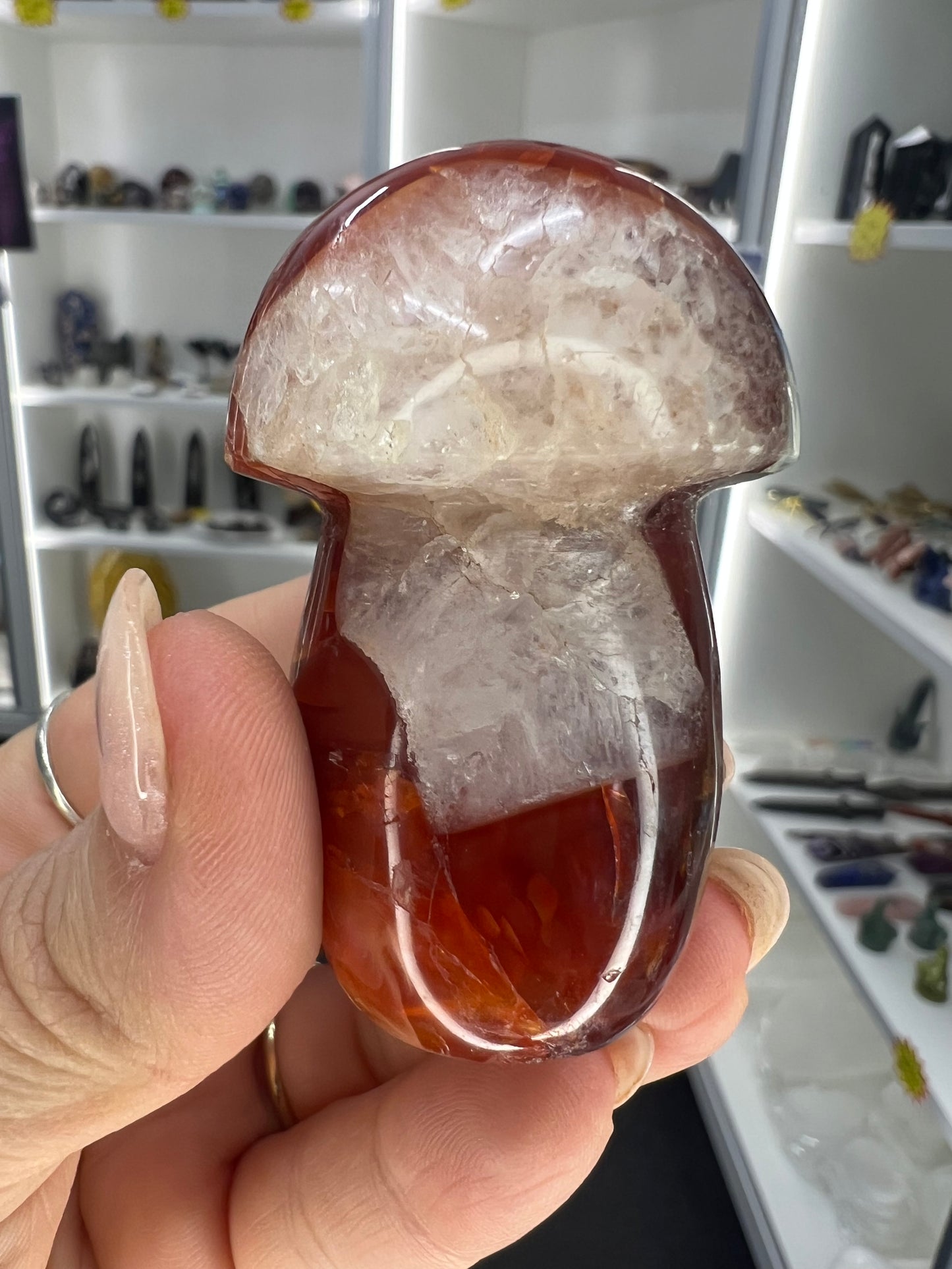 Carnelian Mushroom