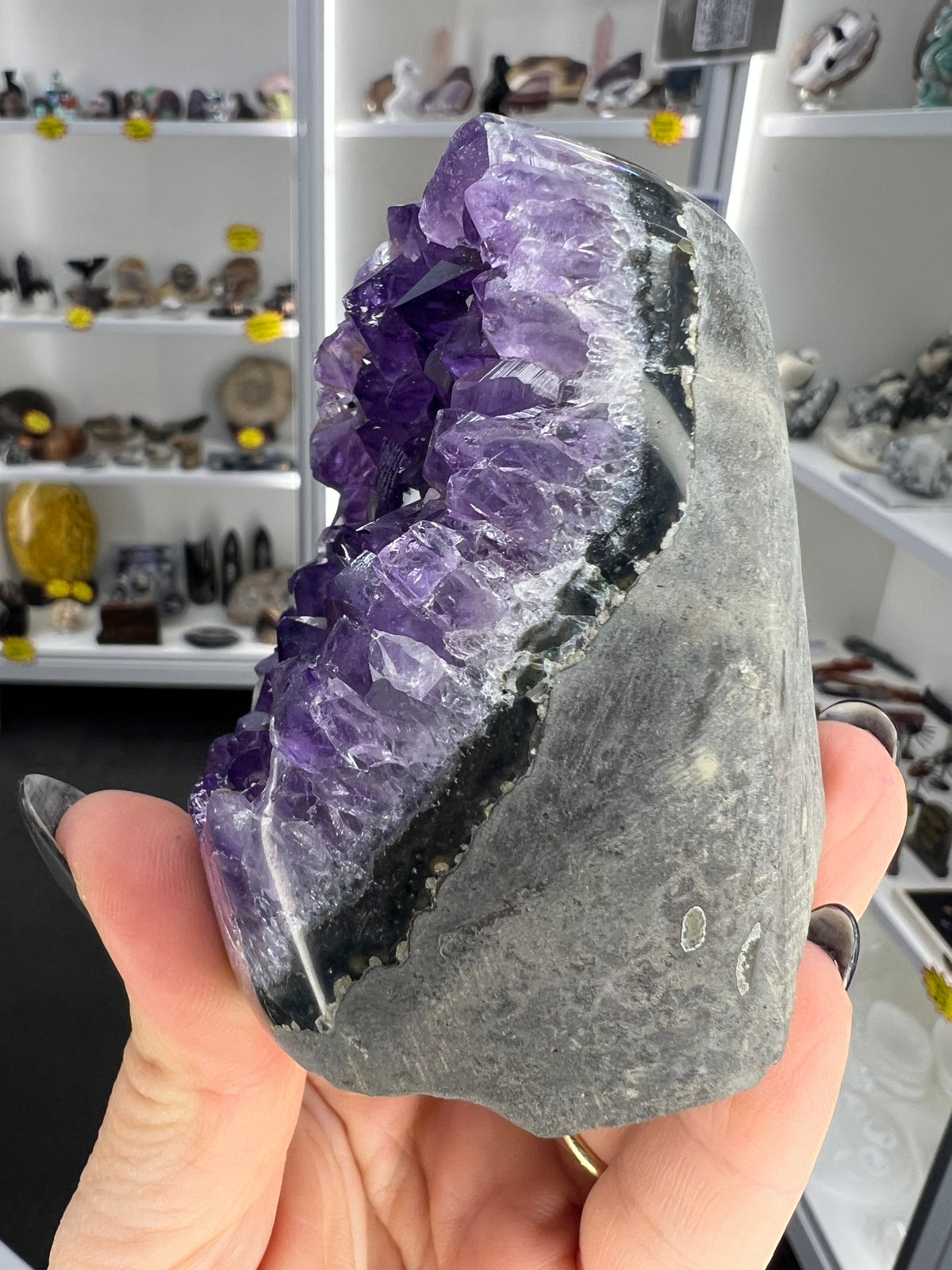 Amethyst Cluster Specimen