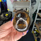 Tiger’s Eye Skull
