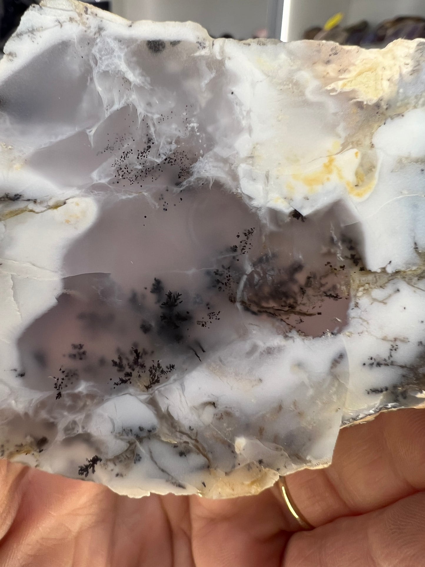 Dendritic Opal Slice