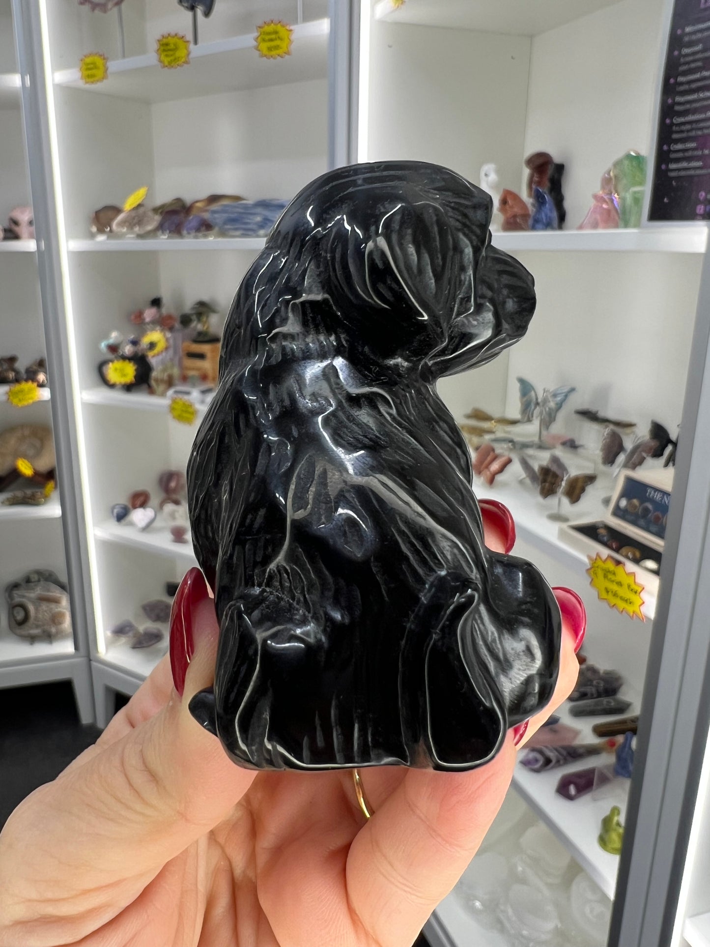Black Obsidian Dog