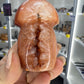 Carnelian Mushroom