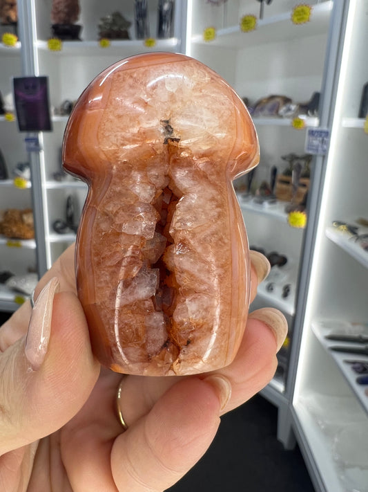 Carnelian Mushroom