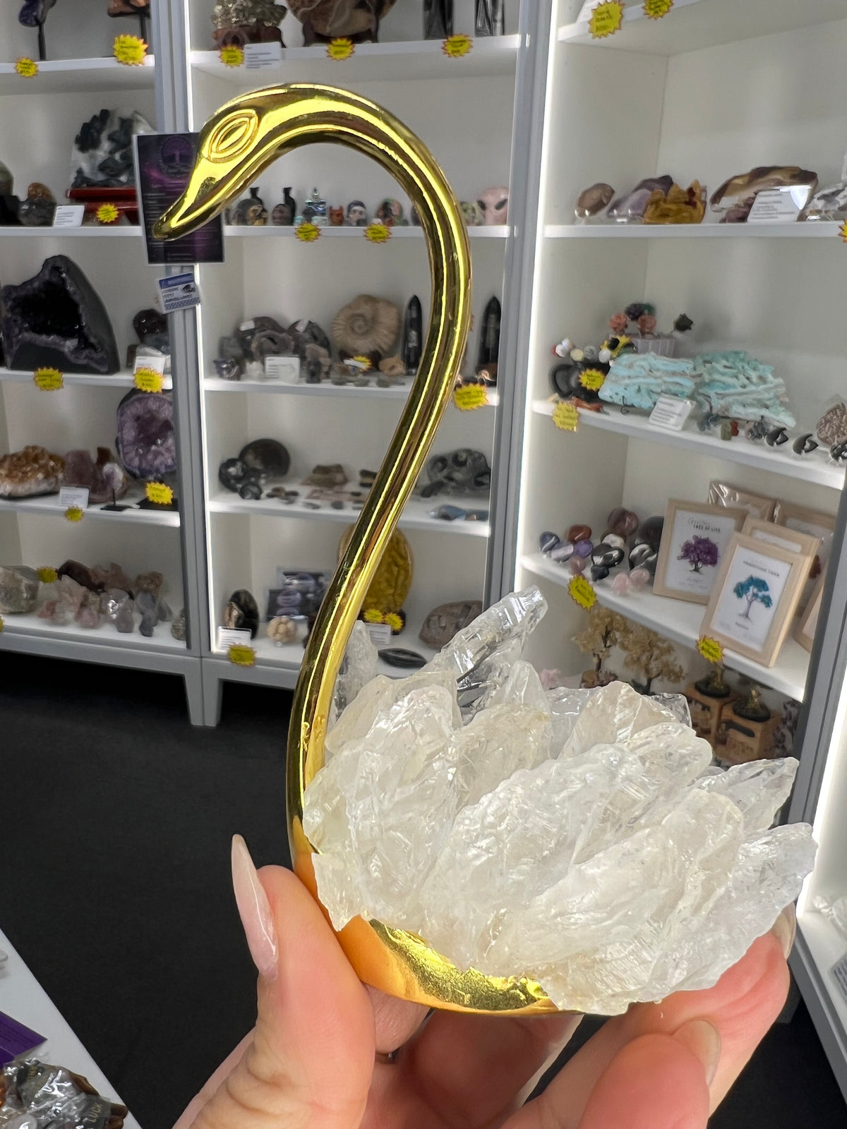 Clear Quartz Cluster on Gold Swan