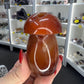 Carnelian Mushroom