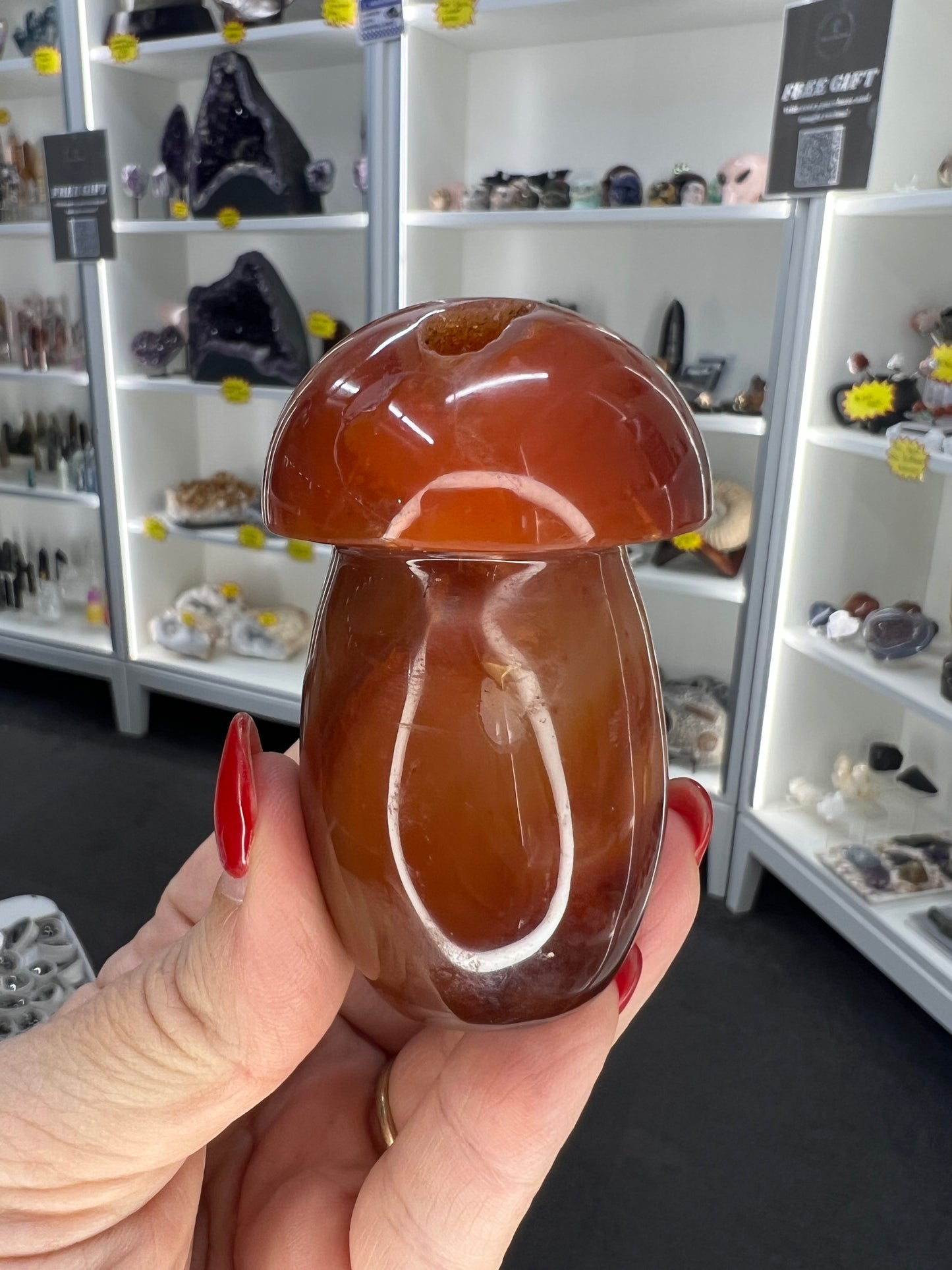 Carnelian Mushroom