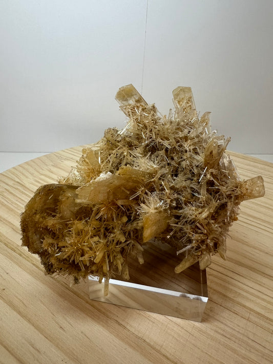 Gypsum / Selenite Specimen