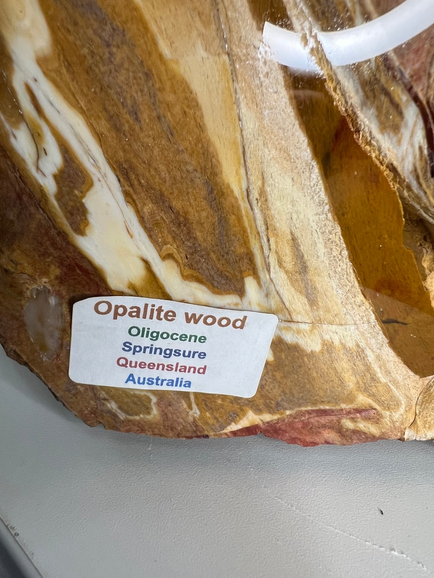 Opalite Wood