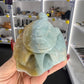 Caribbean Calcite Turtle