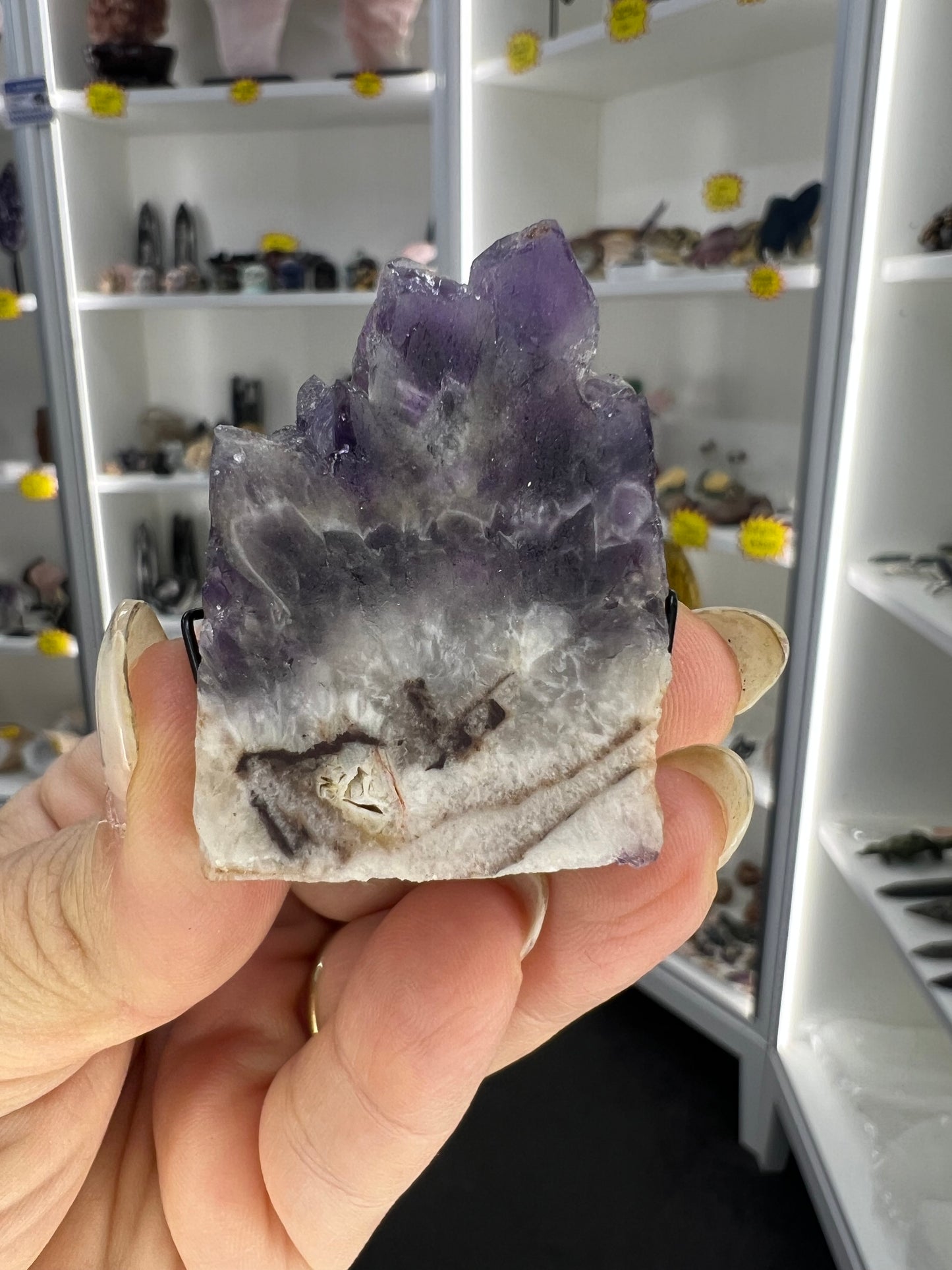 Amethyst Cluster Little Guy