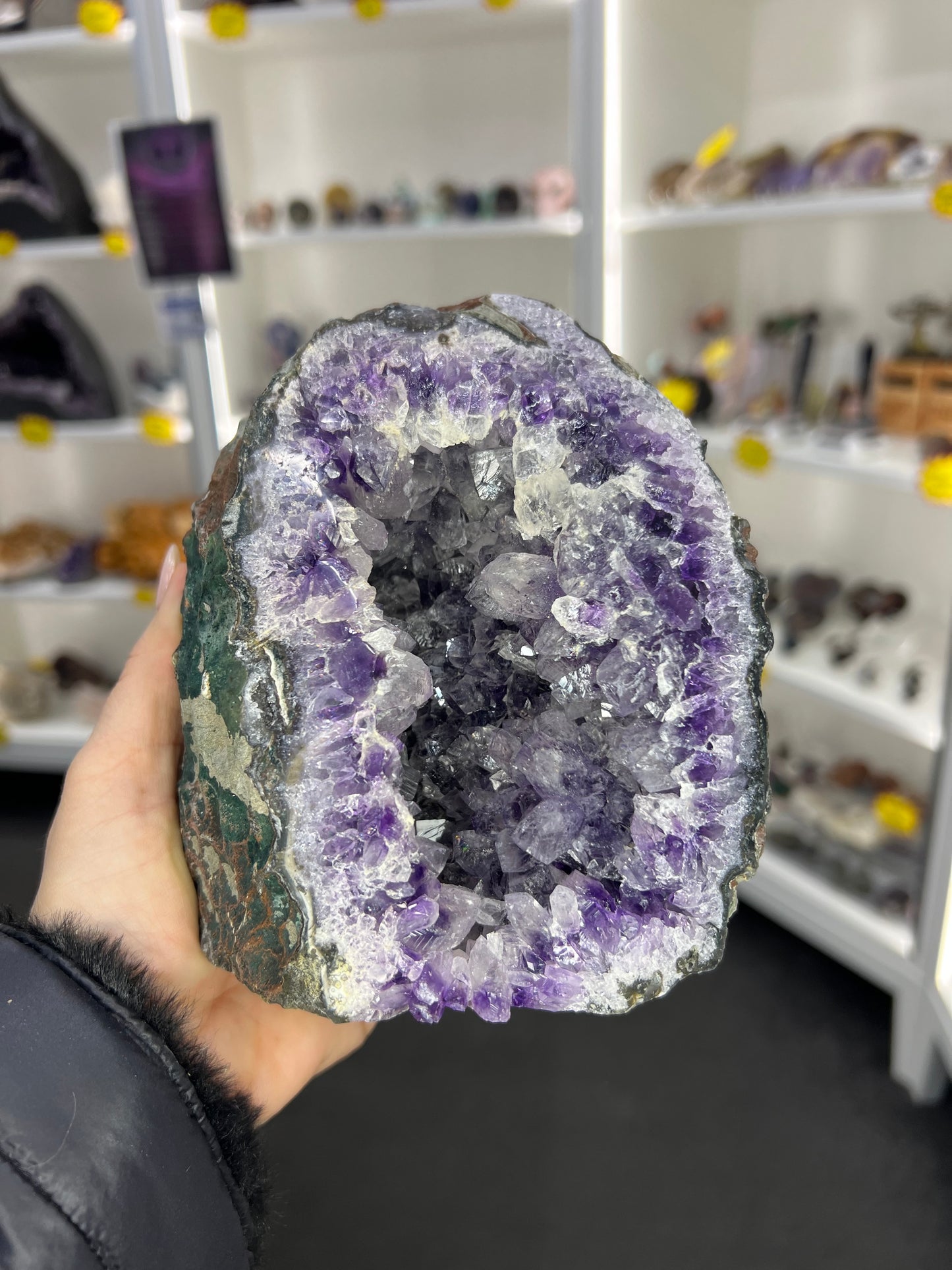 Amethyst Cluster Specimen