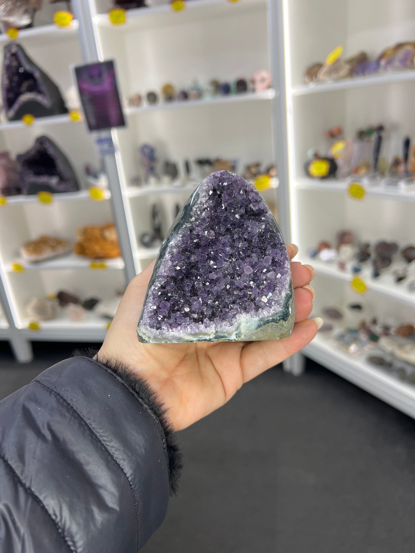 Amethyst Cluster Specimen