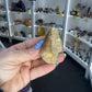 Mosasaurus Anceps Tooth in Matrix