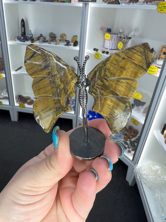 Tigers Eye Butterfly