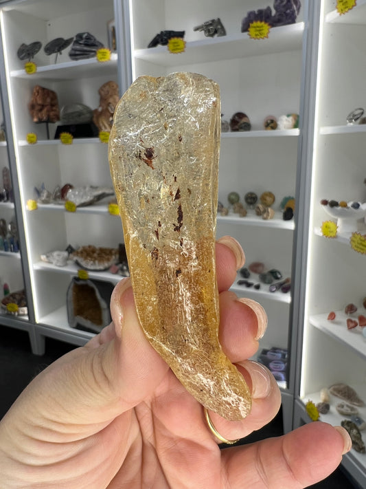 Amber Pack
