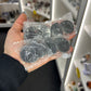 Ammonite Pair