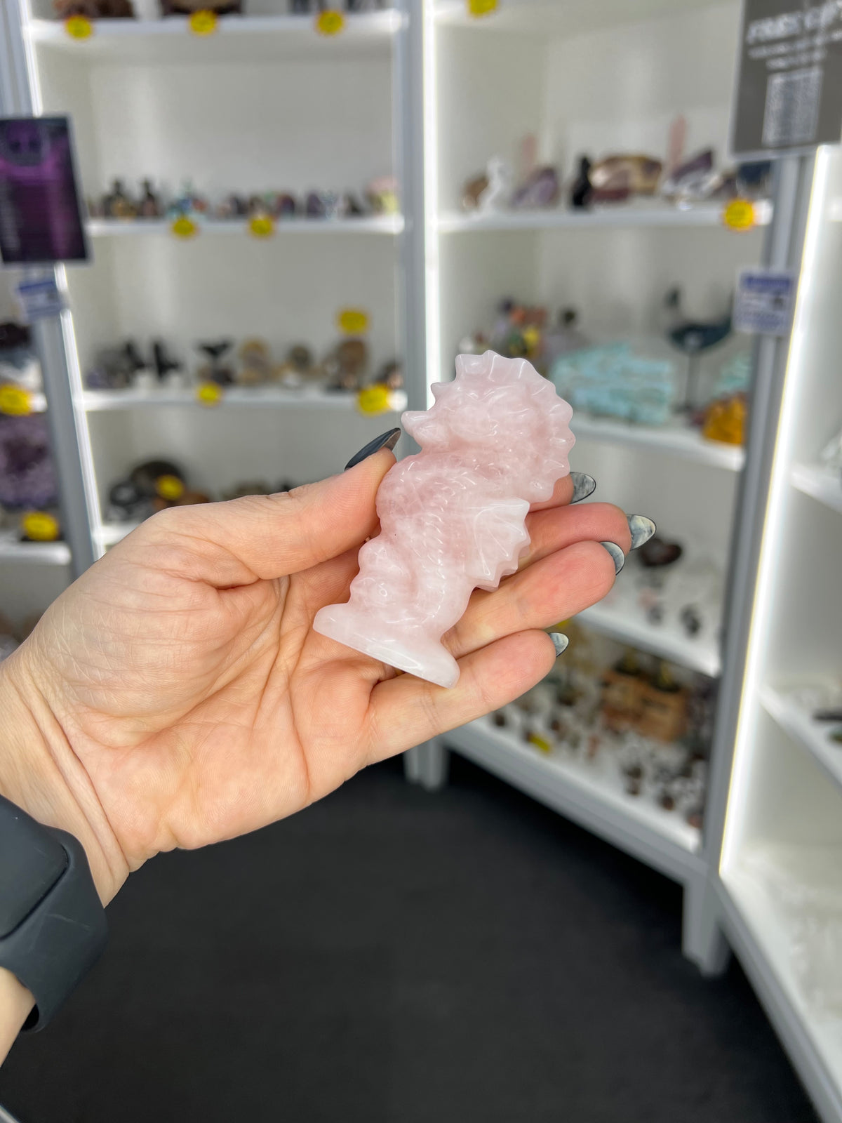 Rose Quartz Seahorse