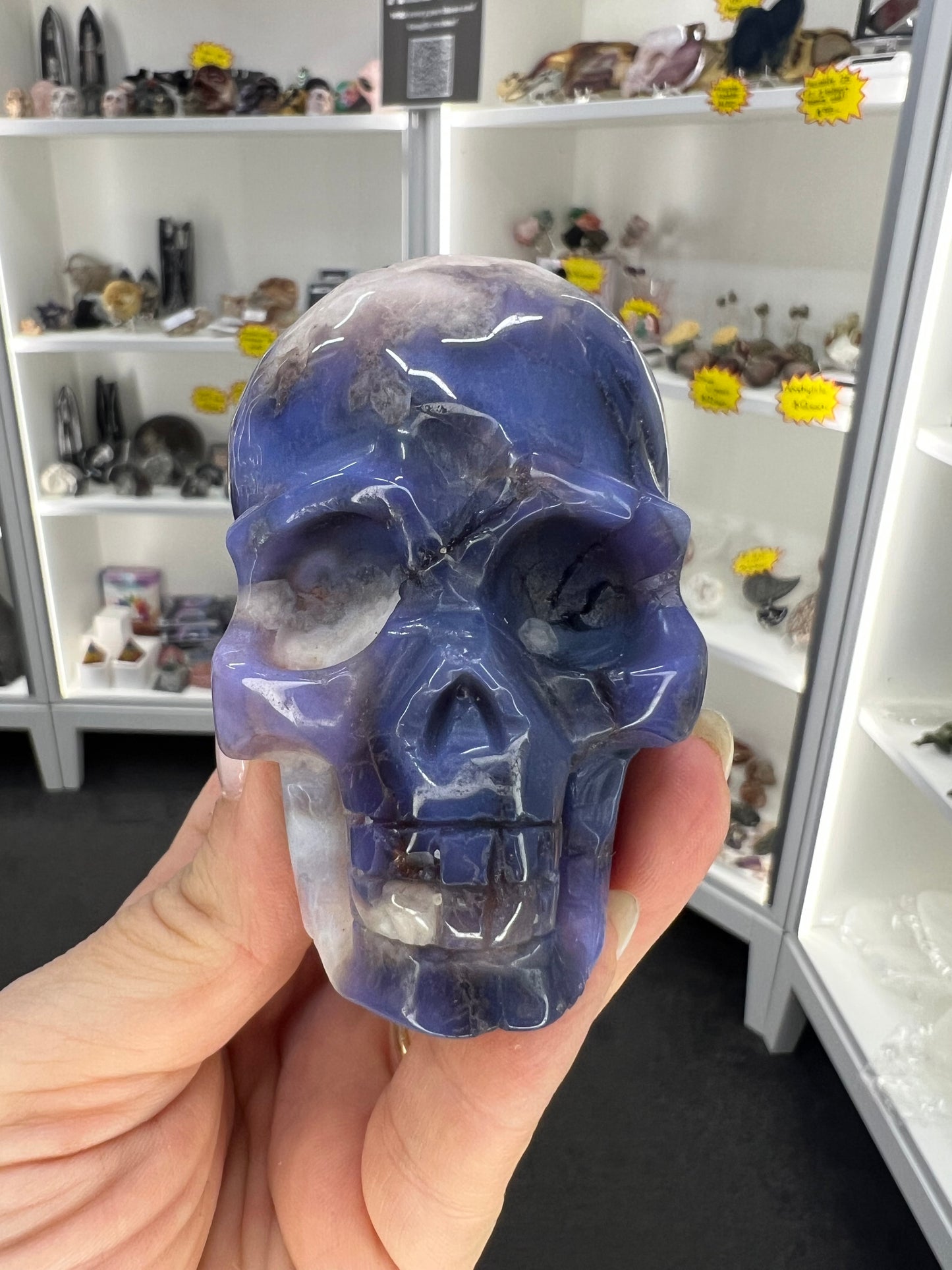 Blue Flower Agate Skull