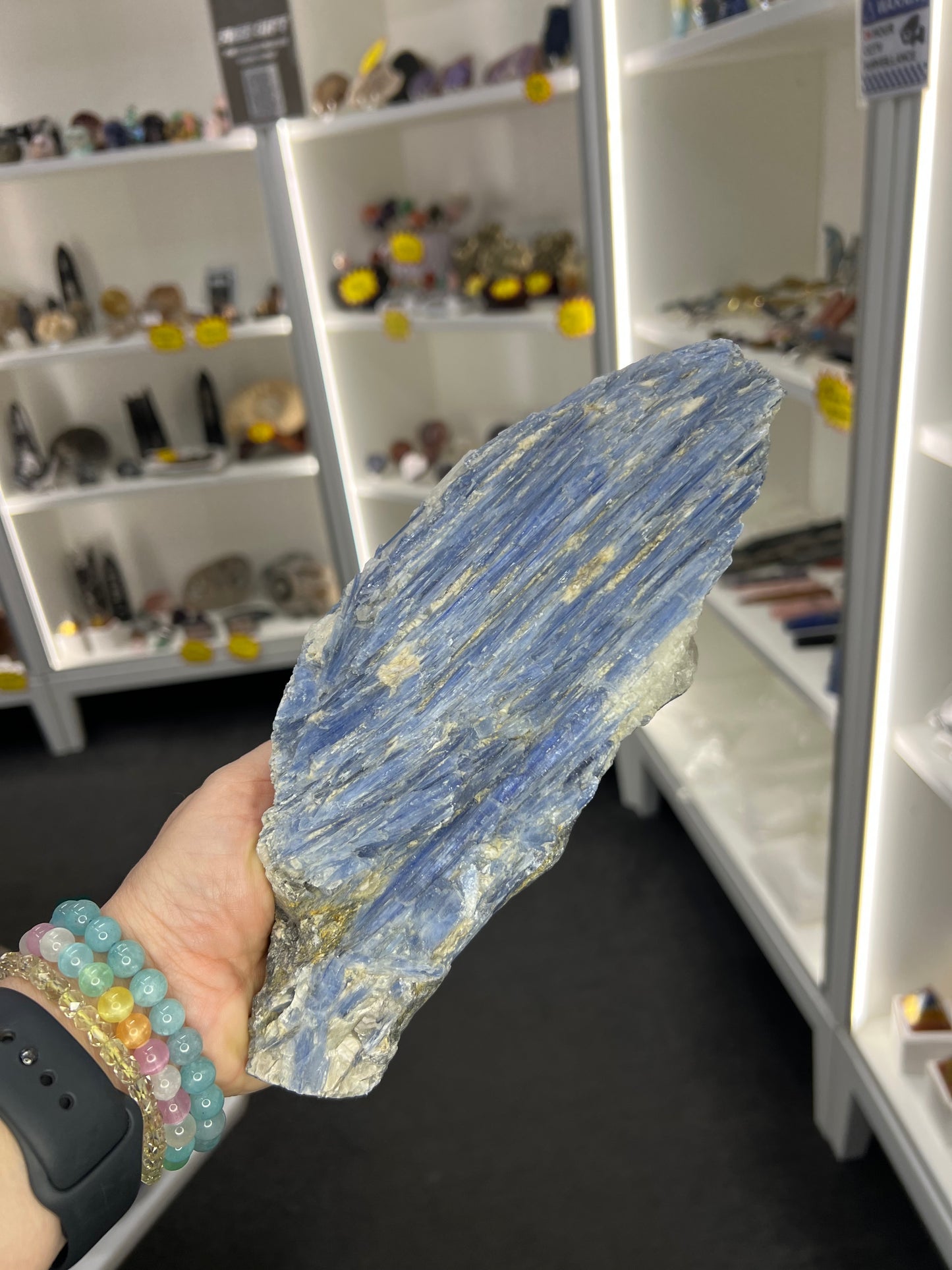 Blue Kyanite Raw Specimen